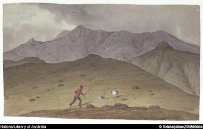 Summit of Tristan De Acunha (da Cunha), a man killing albatross, by Augustus Earle c1824