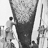 Close-up of the Monagasque trawl swung on board with catch