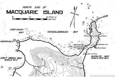 Plan of the Spit at north end of Macquarie Island